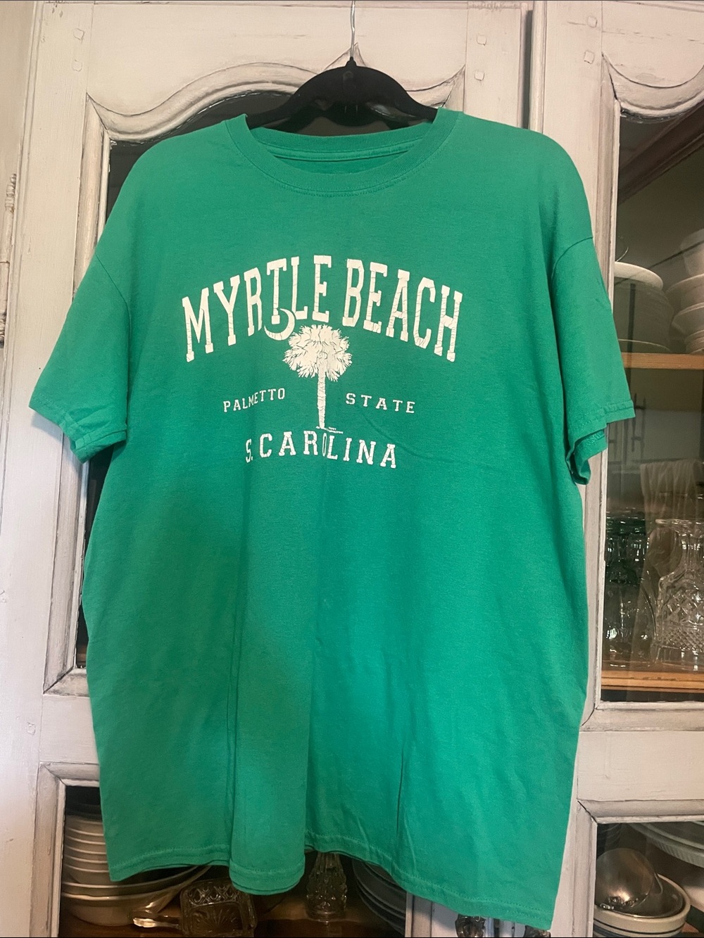 Myrtle Beach Palmetto State Graphic Tee - Men's Green Short Sleeve
